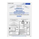 Lesson Plan Handouts